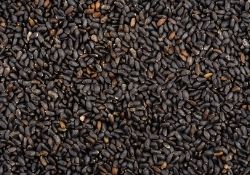Cardamom